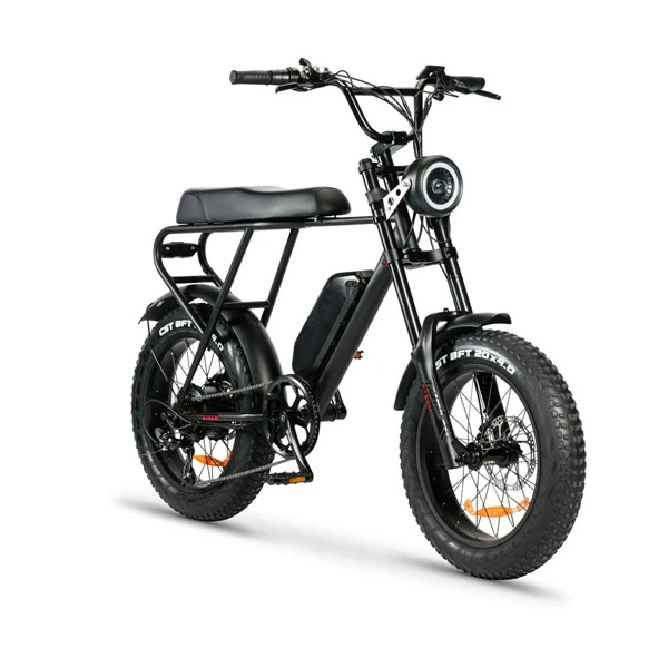 Ztech Fatbike